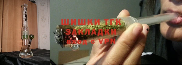молекула духа Протвино