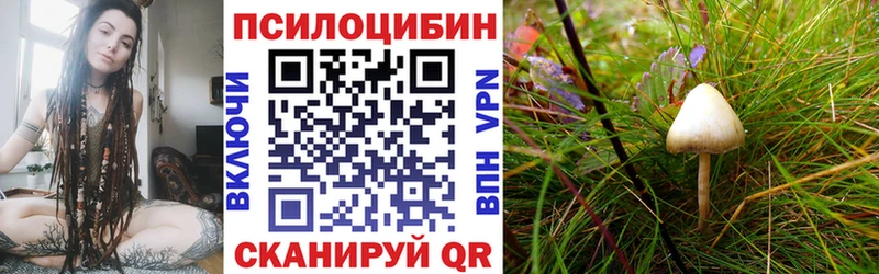Псилоцибиновые грибы Psilocybe  MEGA ссылка  Солигалич 